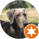 Antonio Morelli Antonio Morelli