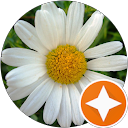 normalisa muscatello